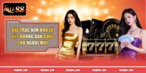 Bài Trác Kim Hoa Là Gì? Hướng Dẫn Chơi Cho Người Mới 