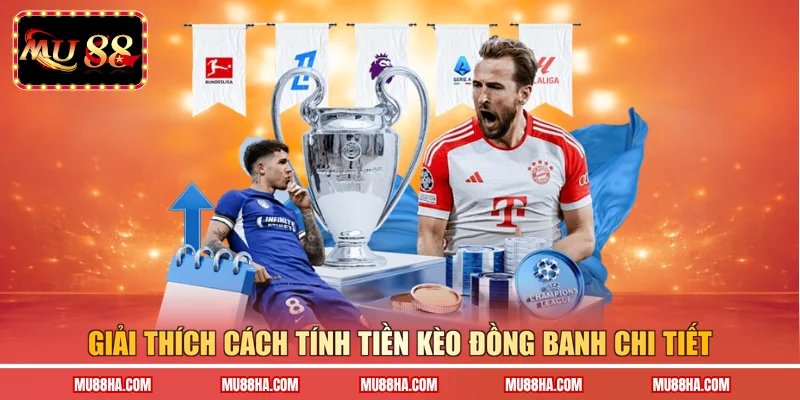 Giải thích cách tính tiền kèo đồng banh chi tiết