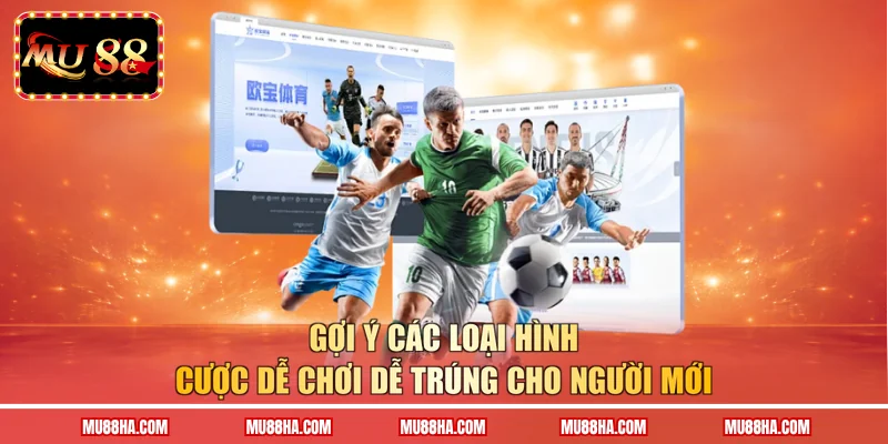Gợi ý các loại hình cược dễ chơi dễ trúng cho người mới 
