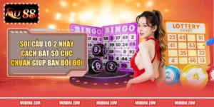 Soi Cầu Lô 2 Nháy: Cách Bắt Số Cực Chuẩn Giúp Bạn Đổi Đời 